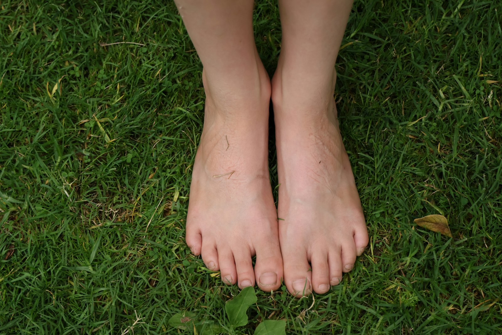 Why Time in Nature Is Good for You — and Simple Ways to Get More