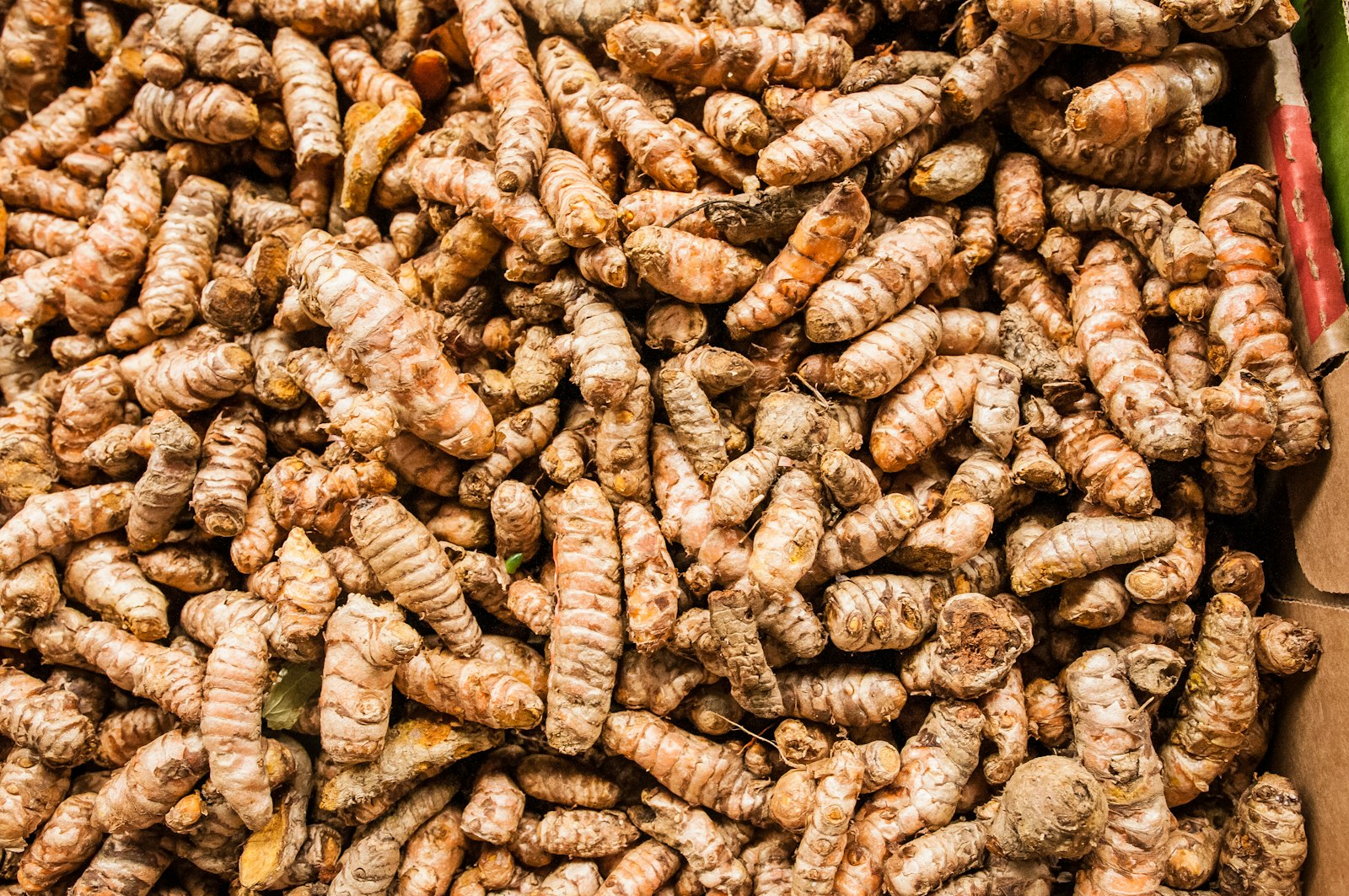 Turmeric and Ginger: Benefits, Everyday Uses and Safety Tips